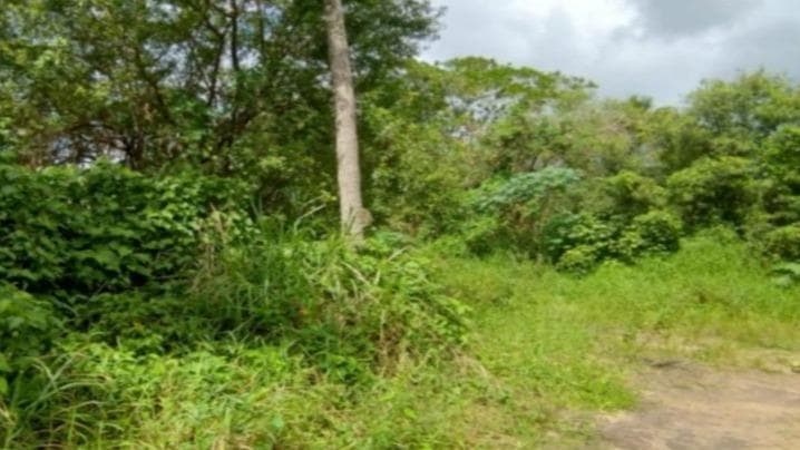 PARTE DE TERRAS  MEDINDO 7 HECTARES, DENOMINADA "GRANJA SANTA MARTA", DESMEMBRADA DO SITIO SÃO JOÃO, IGARASSU/PE