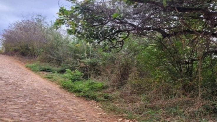 TERRENO COM ÁREA TOTAL DE 2.014M², RUA MOACIR GONDIM LÓSSIO, MURITI, CRATO/CE.  — foto 1 de 2