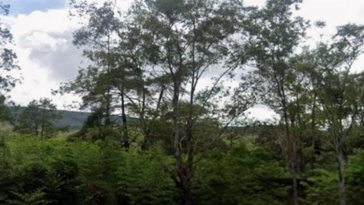 TERRENO COM ÁREA APROXIMADA DE 7.000,00 M², SITUADO NO LOTEAMENTO ESTÂNCIA SERRANA,  ALAMEDA DOS SABIÁS, NOVA LIMA/MG.