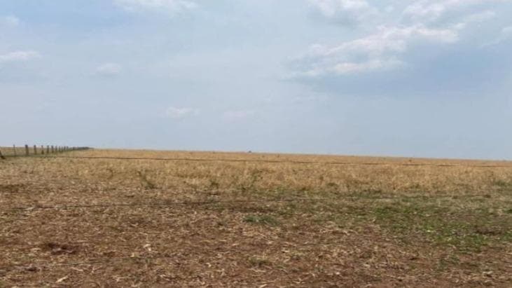 FAZENDA GABRIELLY, COM ÁREA DE 497HA APROXIMADAMENTE, LOCALIZADA NA ZONA RURAL DE BRASNORTE/MT