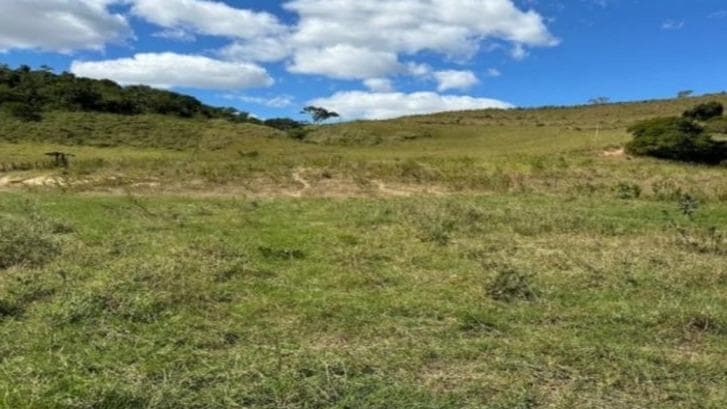 UMA FRAÇÃO DE TERRAS, SITUADO NO DISTRITO DE JOCA TAVARES, NO LUGAR DENOMINADO TIGRE E OLHOS D'ÁGUA, COM ÁREA DE 15HA, BAGE/RS