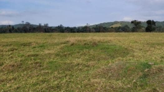 TERRENO, COM 8.872,17 M², PREDOMINANTEMENTE DE PASTO, CERCADO COM ARAME, TERRENO IRREGULAR E PLANO,NO BAIRRO PONTA AGUDA, RUA SILVANO CÂNDIDO DA SILVA SÊNIOR, BLUMENAU/SC