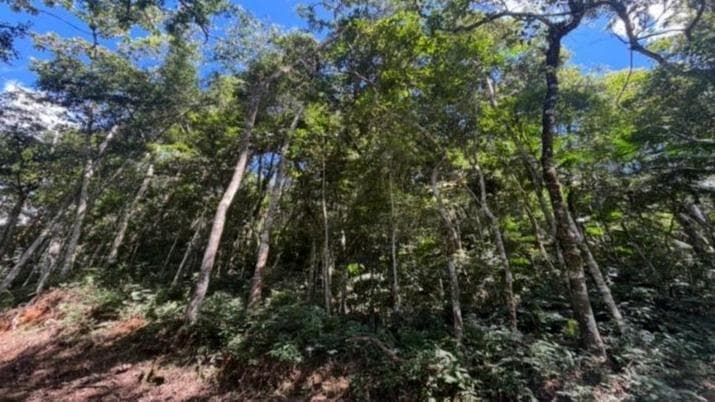 LOTE 118 NO CONDOMÍNIO PAÇO DE SÃO LUIZ, BAIRRO PAÇO DE SÃO LUIZ, QUEBRA FRASCOS, TERESÓPOLIS/RJ. COM ÁREA DE 6.210M².  — foto 1 de 2