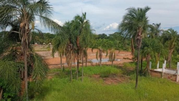 PARTE IDEAL CORRESPONDENTE A 12.000,00M², DE UM IMÓVEL RURAL, ENCRAVADO NA FAZENDA TALHADO, SITUADO NA MARGINAL DA RODOVIA BR -153, KM 49, SÃO JOSÉ DO RIO PRETO/SP.  — foto 1 de 4