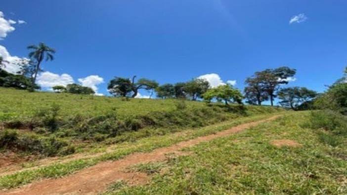 A ÁREA DE TERRAS MEDINDO 720 HAS, NO MUNICÍPIO DE PARANATINGA/MT.